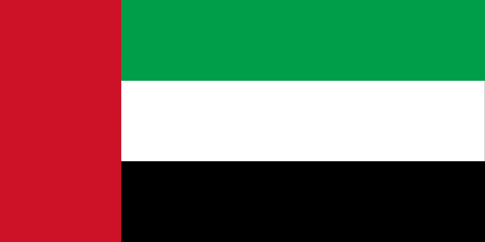 UAE flag